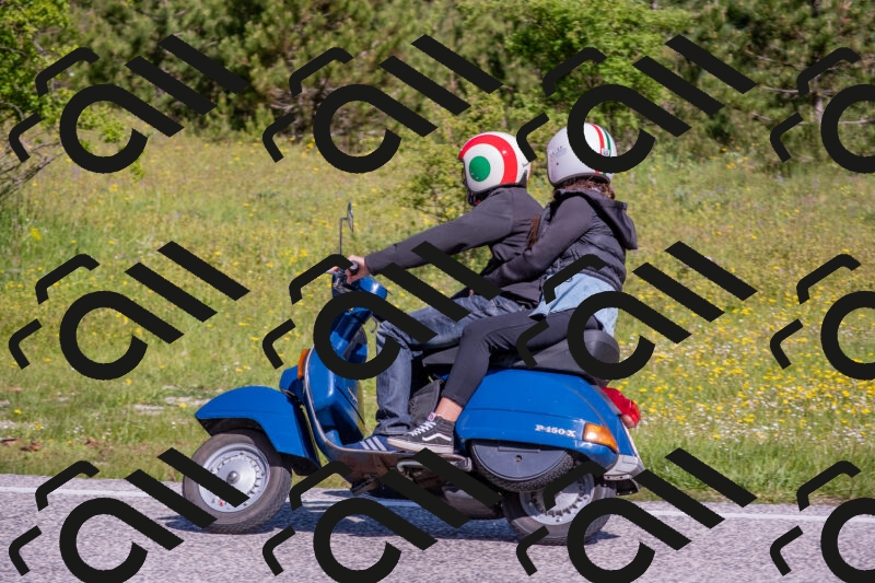 202506021009-DSC_7118_c4_