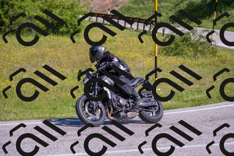 202506021010-DSC_7124_c4_