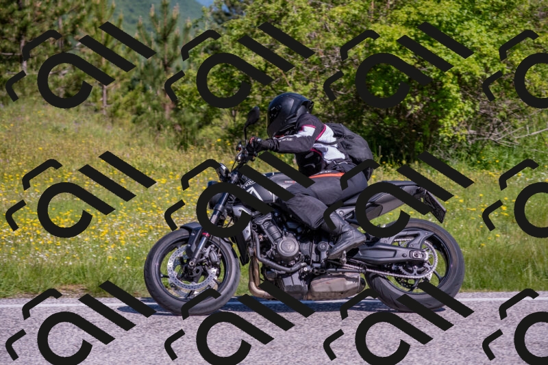 202506021010-DSC_7125_c4_