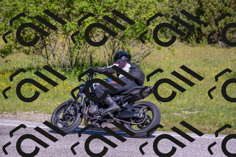 202506021010-DSC_7126_c4_