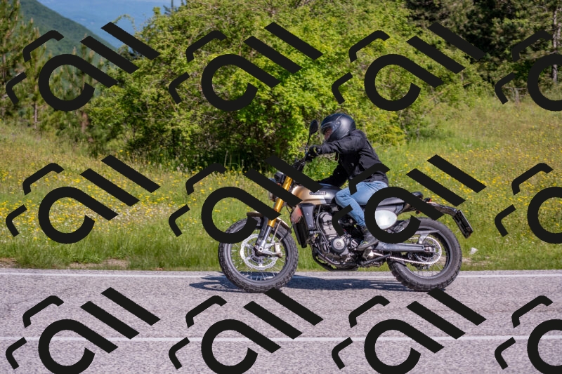 202506021011-DSC_7133_c4_