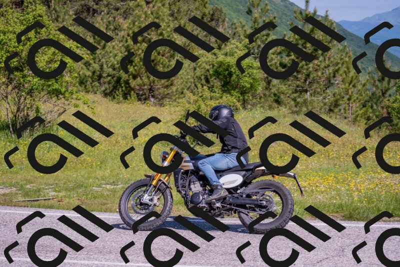 202506021011-DSC_7134_c4_