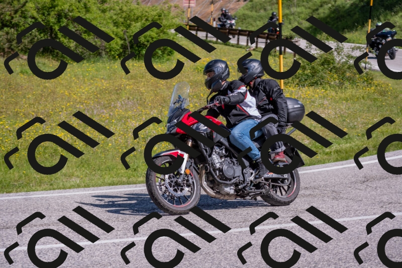 202506021011-DSC_7137_c4_