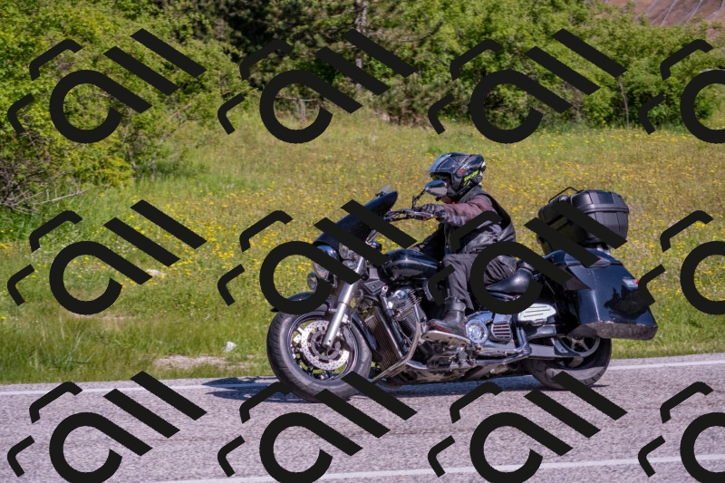 202506021011-DSC_7141_c4_