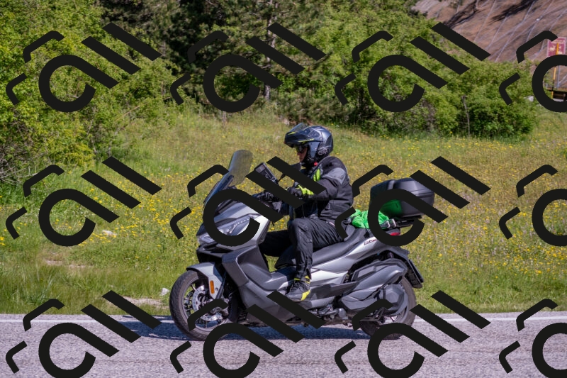 202506021011-DSC_7145_c4_