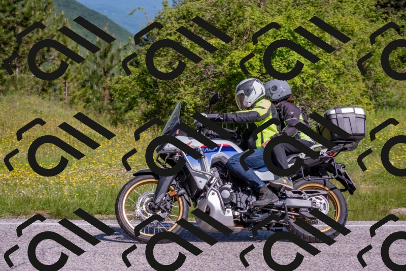 202506021011-DSC_7148_c4_