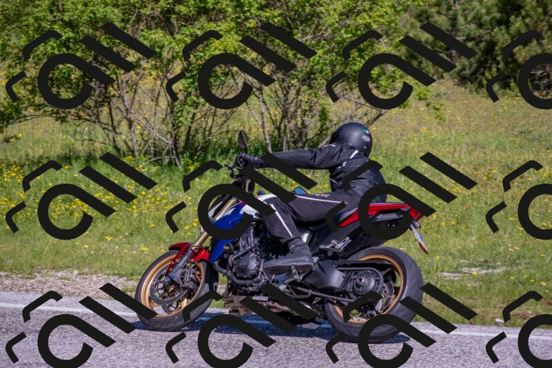 202506021011-DSC_7154_c4_