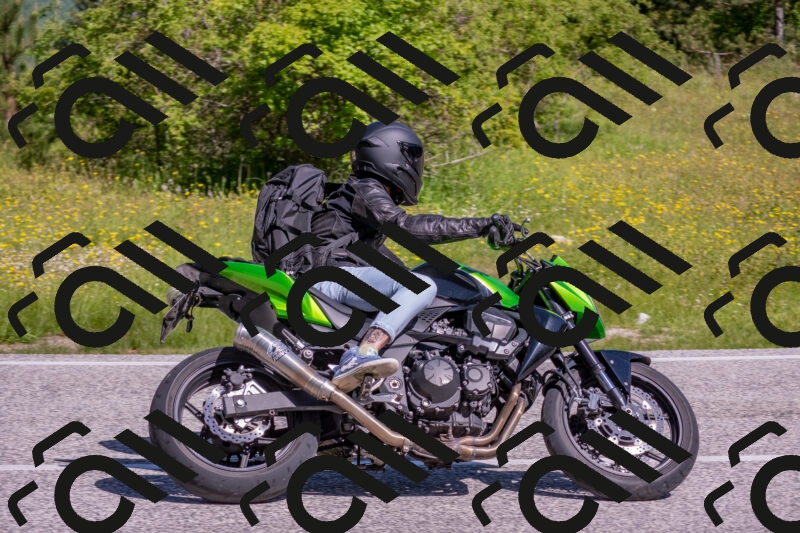 202506021012-DSC_7157_c4_