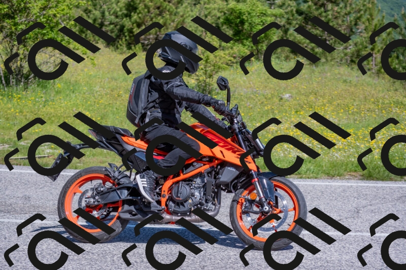 202506021012-DSC_7160_c4_