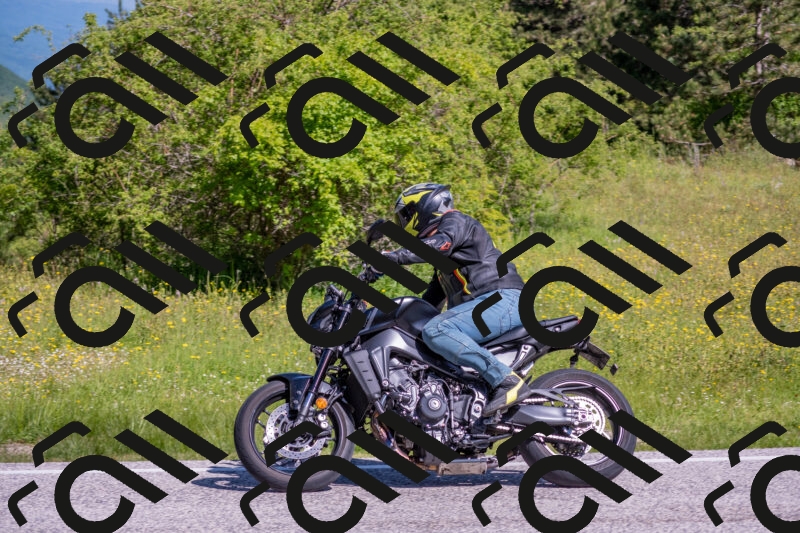 202506021012-DSC_7163_c4_