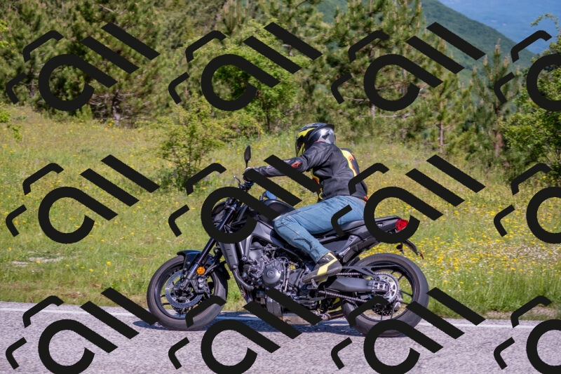 202506021012-DSC_7164_c4_