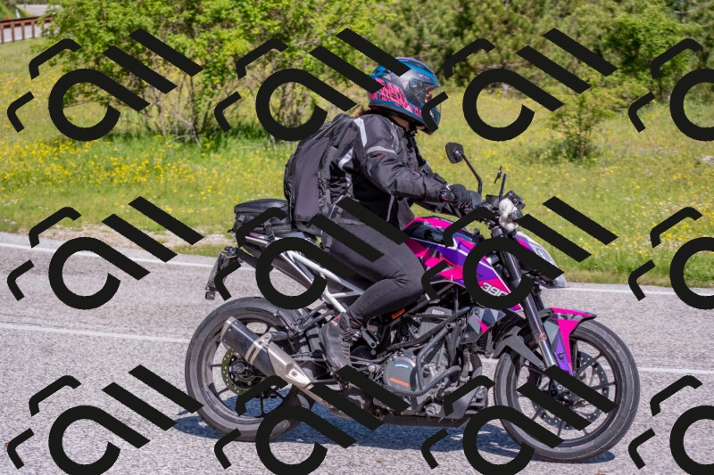 202506021012-DSC_7165_c4_