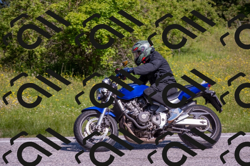 202506021015-DSC_7176_c4_