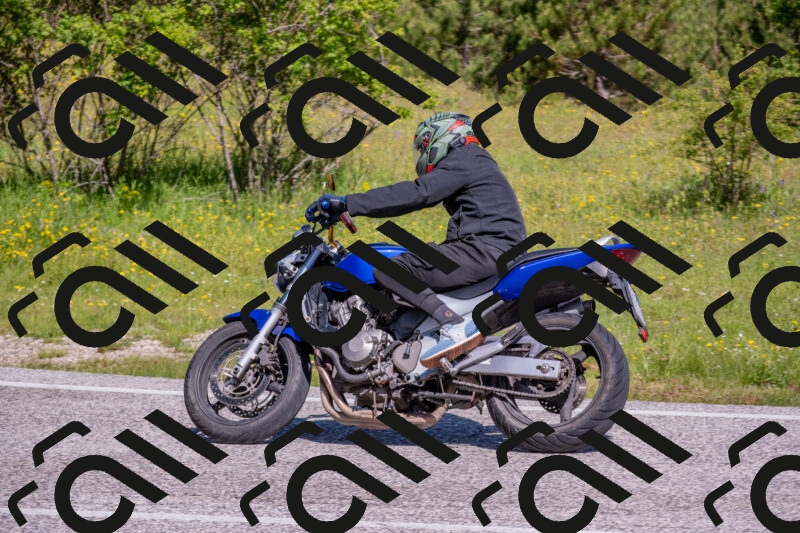 202506021015-DSC_7177_c4_