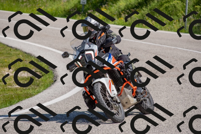 202506021016-DSC_7184_c4_