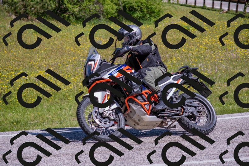 202506021016-DSC_7185_c4_