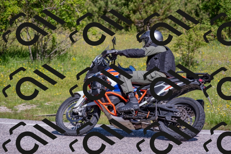 202506021016-DSC_7186_c4_