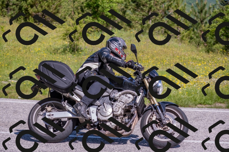 202506021017-DSC_7189_c4_