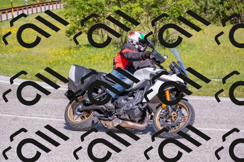 202506021022-DSC_7198_c4_