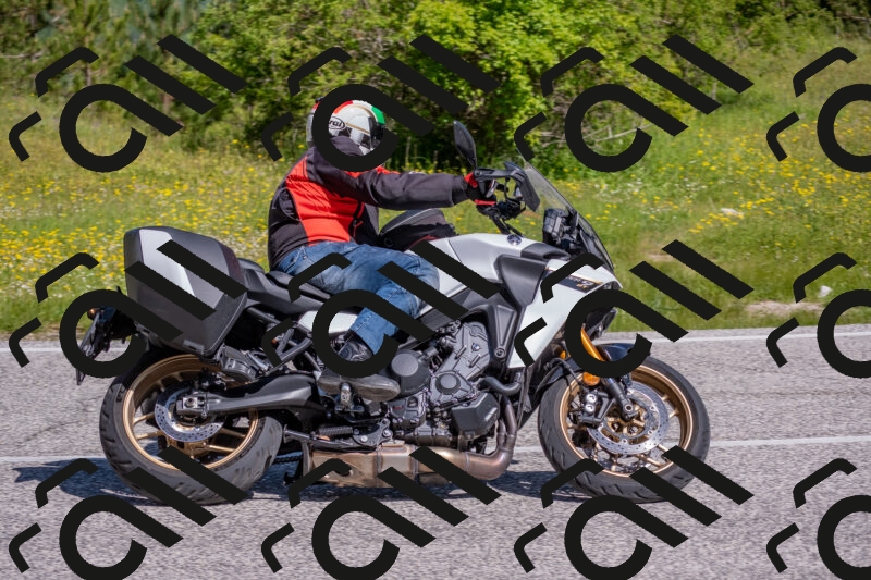 202506021022-DSC_7199_c4_