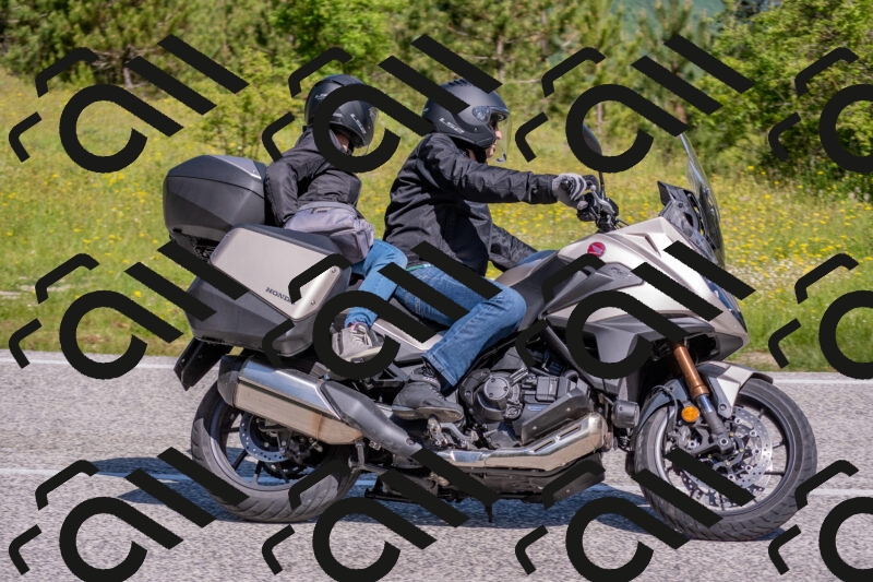 202506021025-DSC_7202_c4_