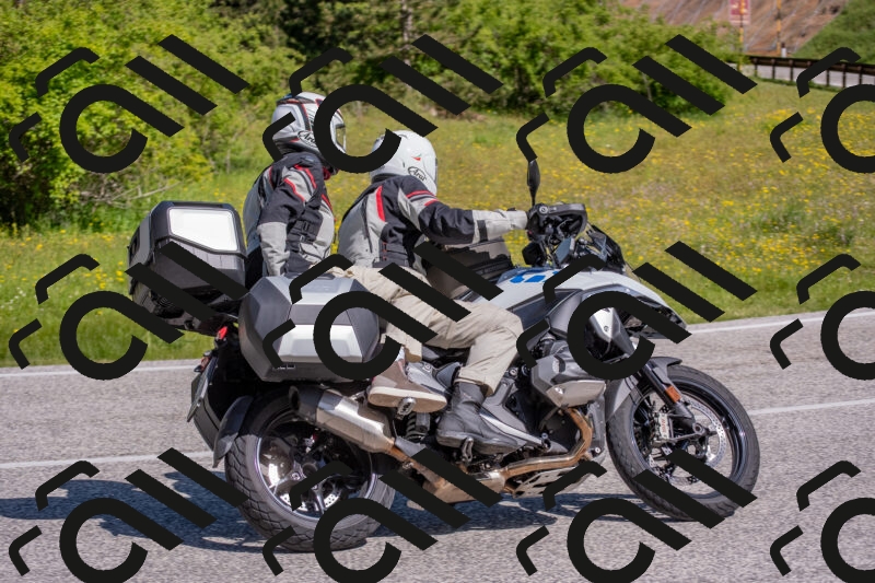 202506021025-DSC_7205_c4_