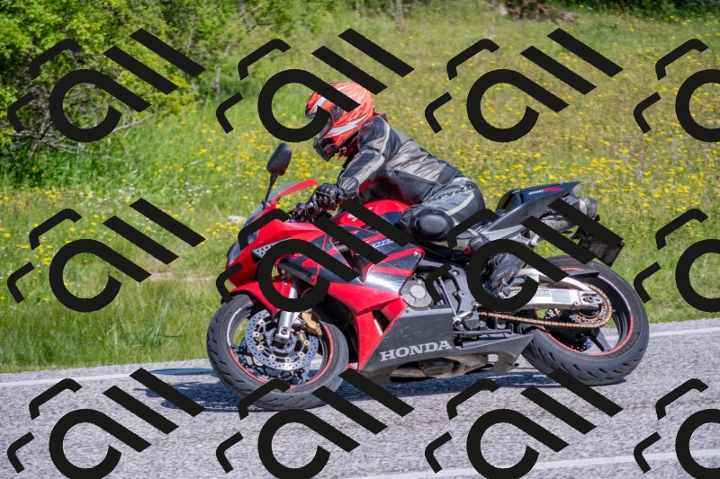 202506021026-DSC_7211_c4_