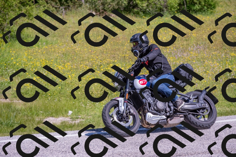 202506021028-DSC_7217_c4_