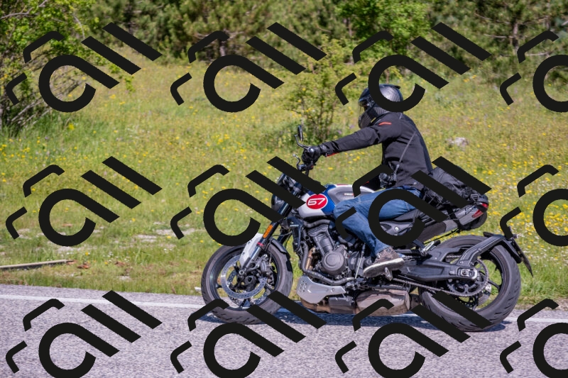 202506021028-DSC_7218_c4_