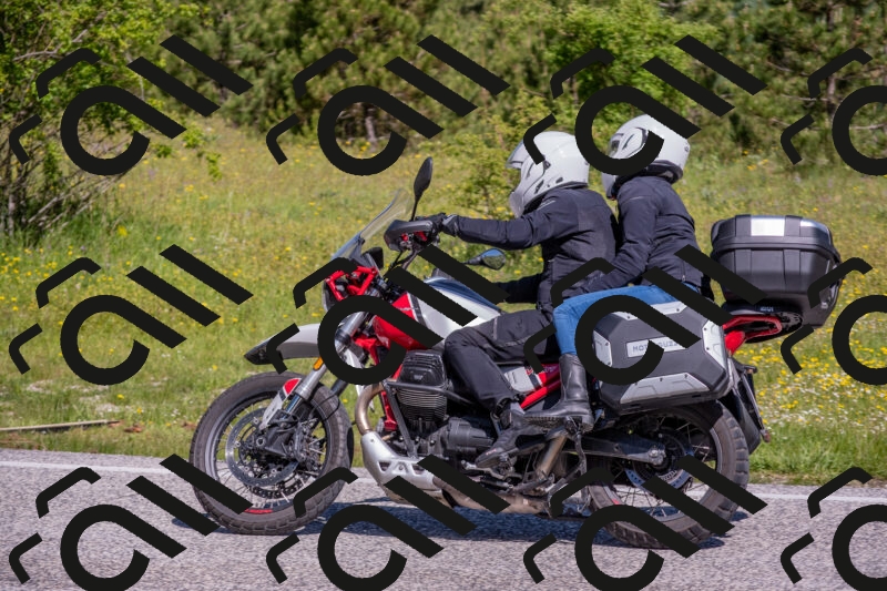 202506021028-DSC_7221_c4_