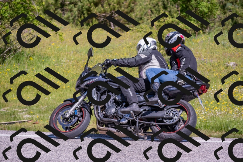 202506021029-DSC_7225_c4_