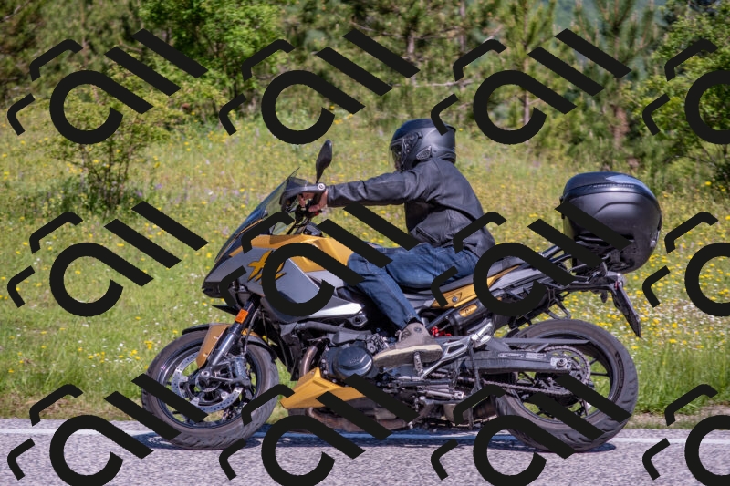 202506021029-DSC_7228_c4_