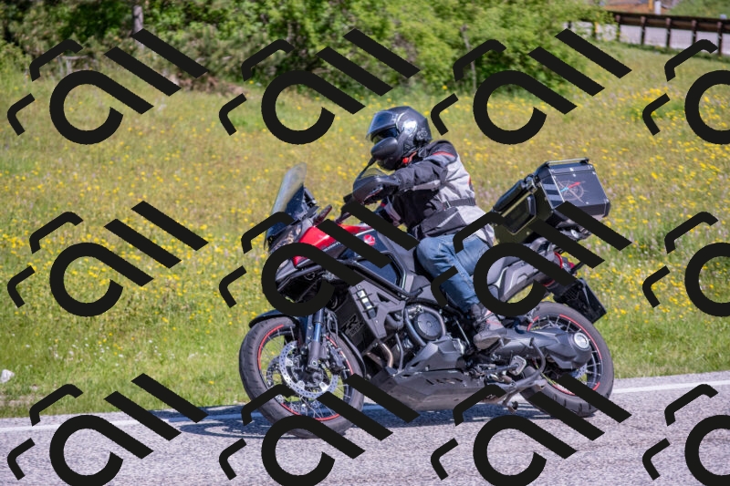 202506021029-DSC_7230_c4_