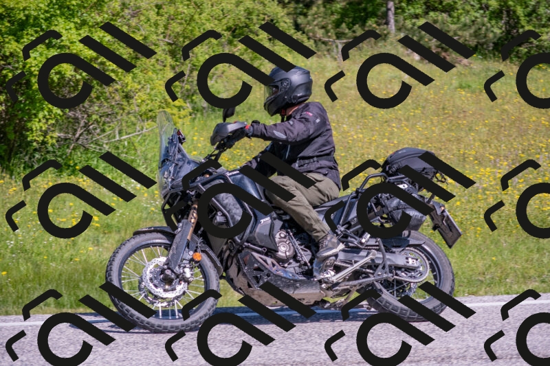 202506021029-DSC_7232_c4_