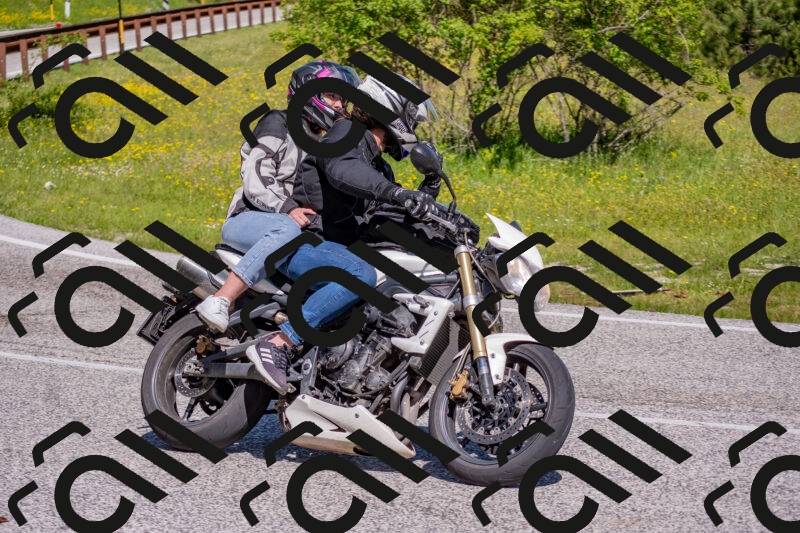 202506021030-DSC_7245_c4_