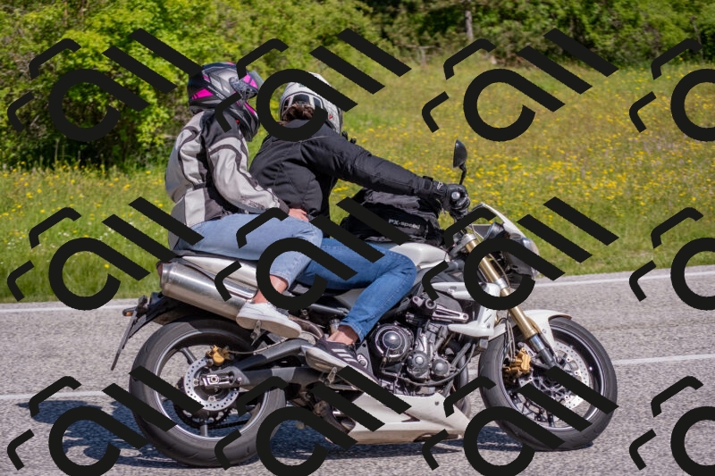 202506021030-DSC_7246_c4_