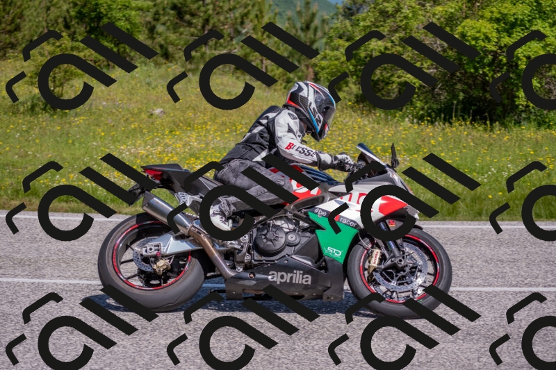 202506021031-DSC_7249_c4_