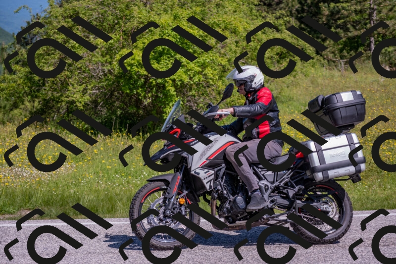 202506021031-DSC_7255_c4_