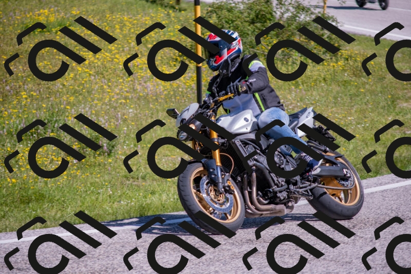 202506021032-DSC_7258_c4_