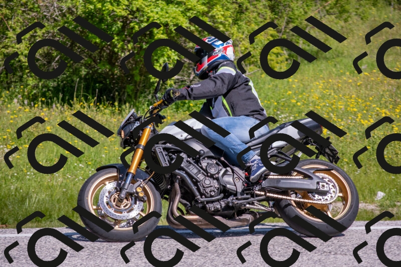 202506021032-DSC_7259_c4_