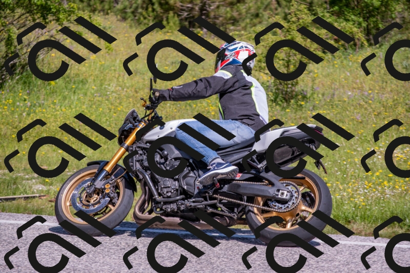 202506021032-DSC_7260_c4_