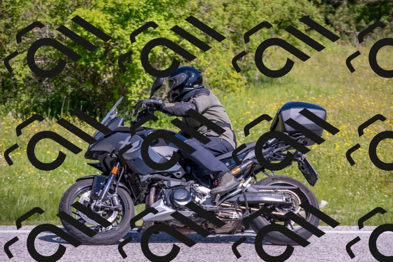 202506021032-DSC_7262_c4_