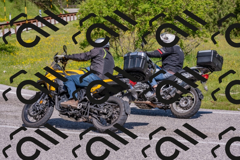 202506021033-DSC_7266_c4_