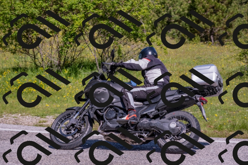 202506021034-DSC_7269_c4_