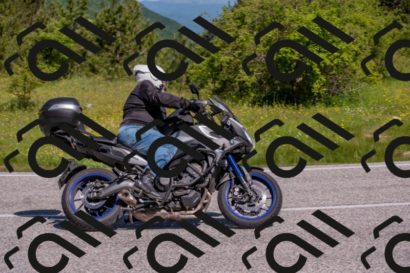 202506021034-DSC_7280_c4_