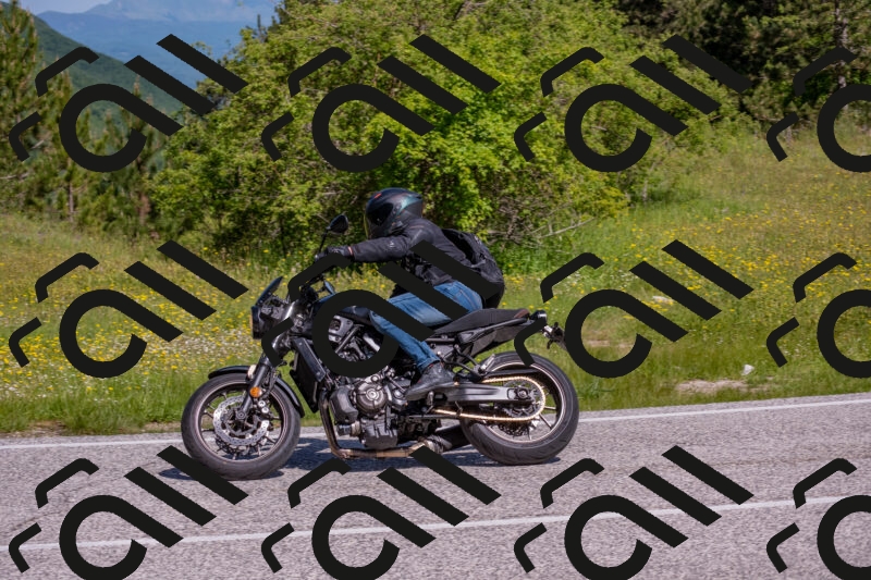 202506021034-DSC_7281_c4_