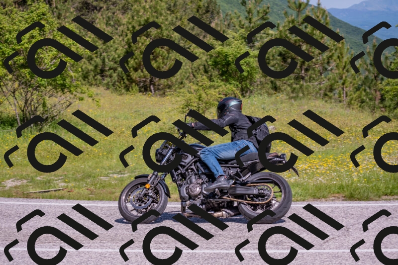 202506021034-DSC_7282_c4_