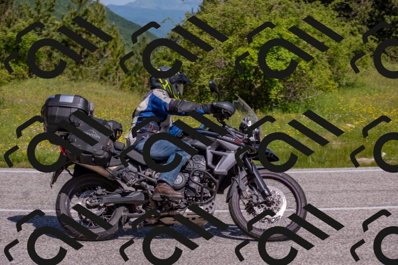 202506021034-DSC_7284_c4_