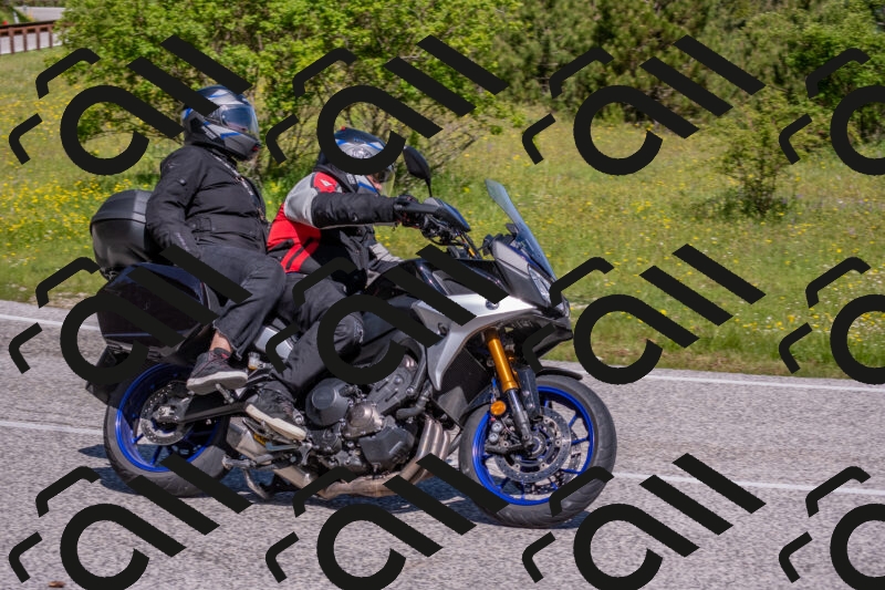 202506021035-DSC_7295_c4_