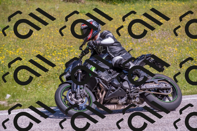 202506021035-DSC_7304_c4_